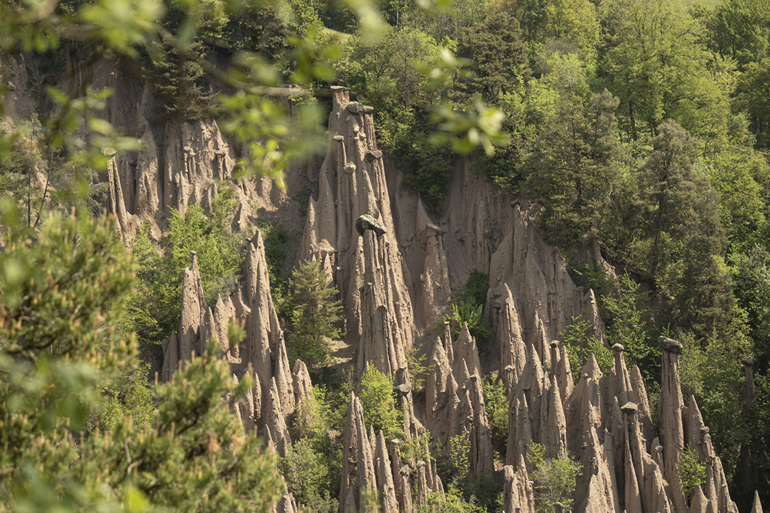 P5120291 - Copia.jpg